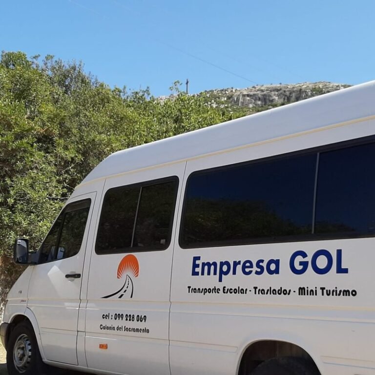 Empresa GOL 768x768