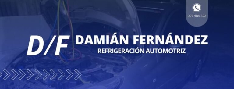 Refrigeracion automotriz Damian Fernandez 768x292