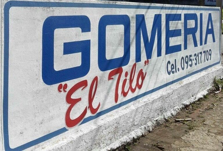 gomeria el tilo 768x520