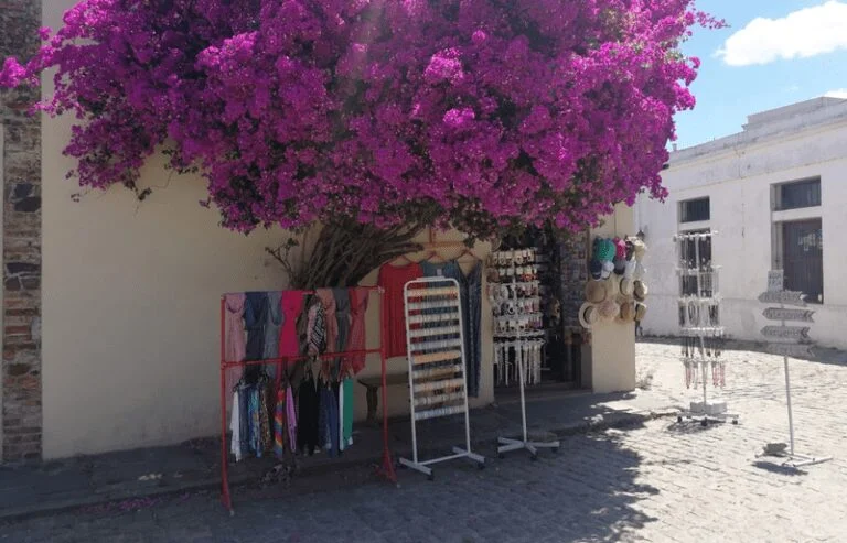 tienda de regalos